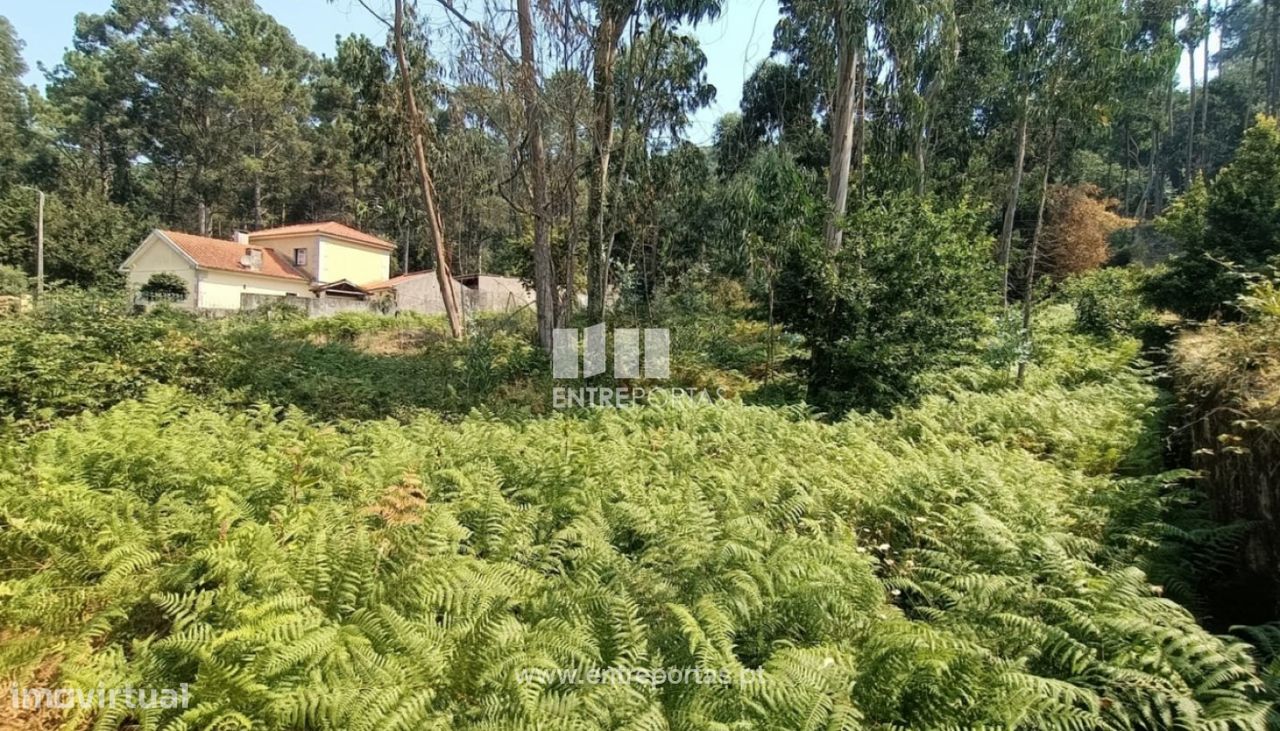 1300m² Land in Viana do Castelo, Portugal No. 243593