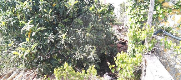 4 bedrooms House in Ansiao, Portugal No. 26106 27