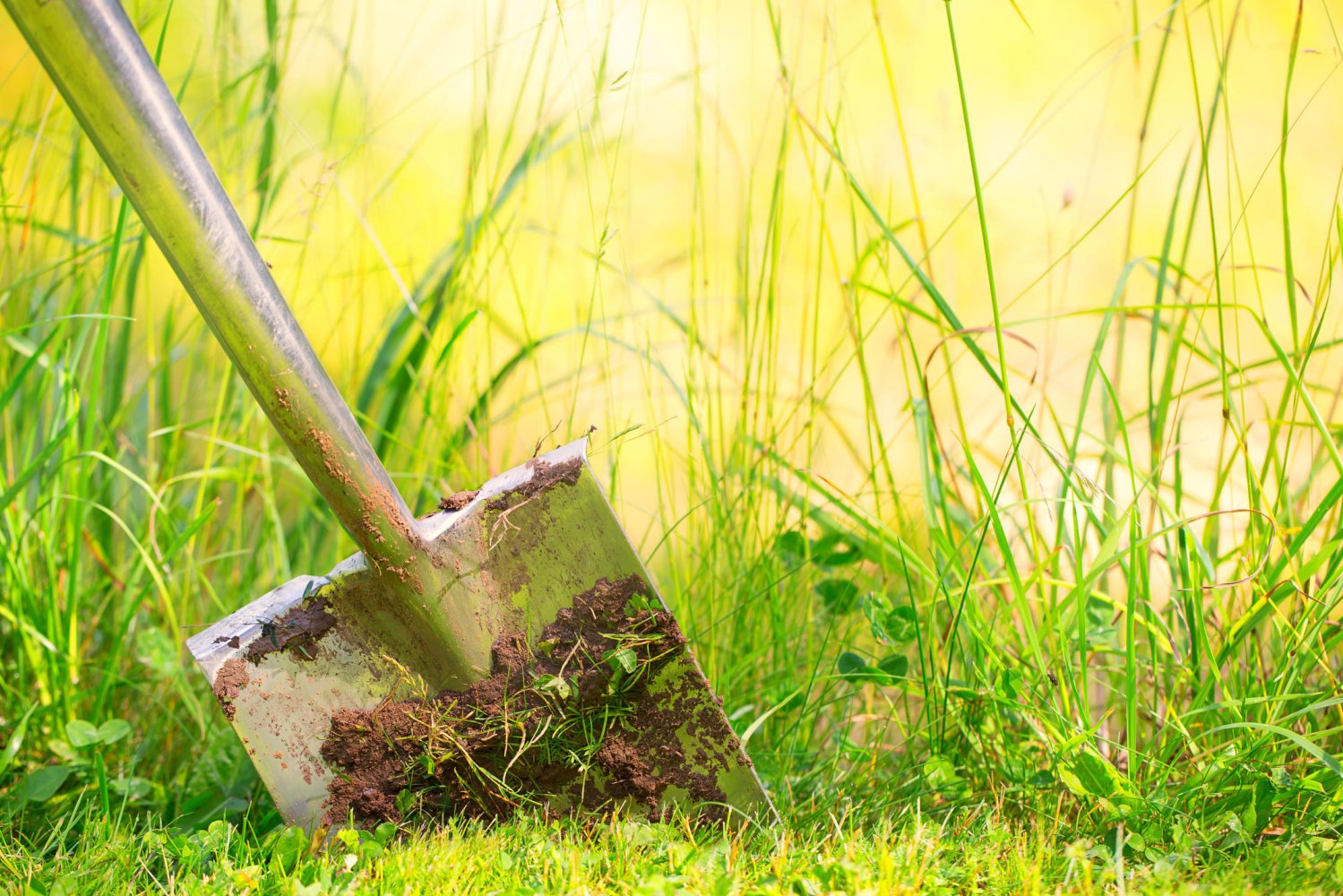  Land in Freyung-Grafenau, Germany No. 118268