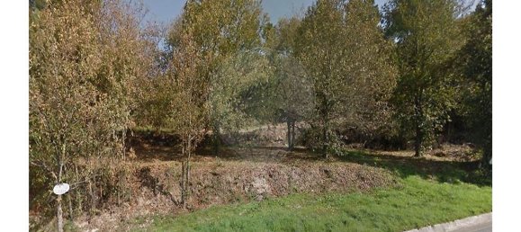 4800m² Land in Passo, Portugal No. 44629 3