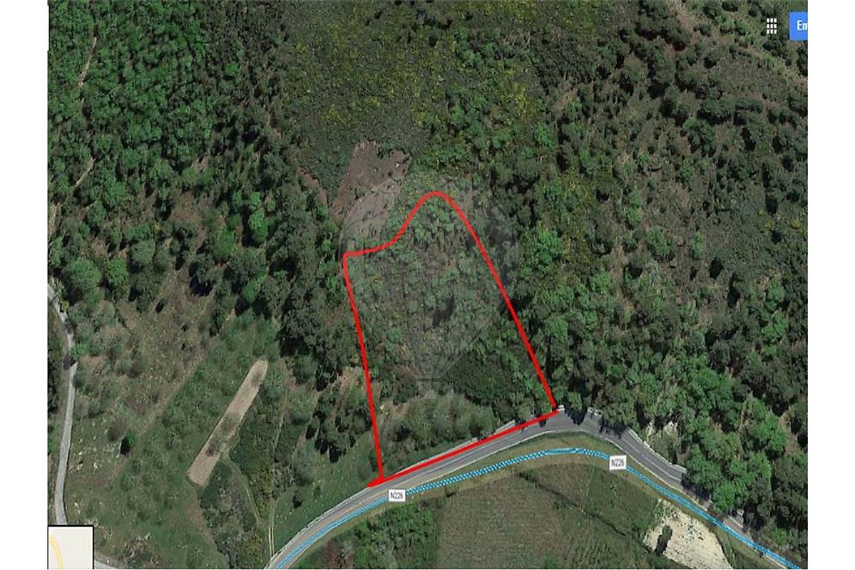 4800m² Land in Passo, Portugal No. 44629