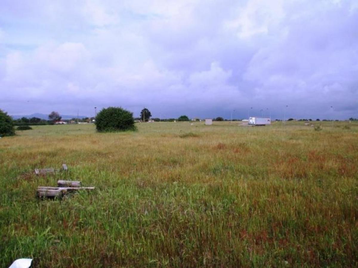  Land in Palmela, Portugal No. 8900