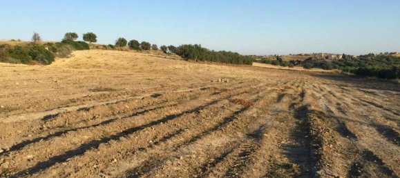 Земельный участок 31966м² в Ното, Италия № 231724 11