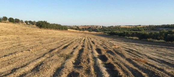 Земельный участок 31966м² в Ното, Италия № 231724 12