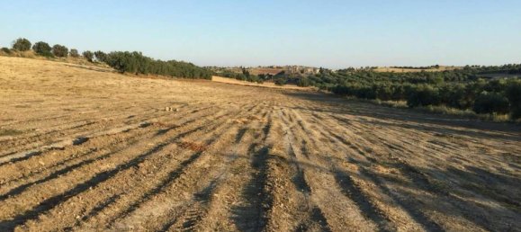 Земельный участок 31966м² в Ното, Италия № 231724 2