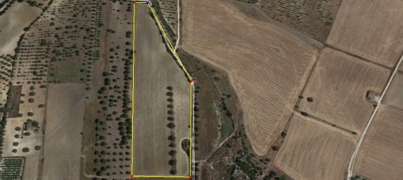 Земельный участок 31966м² в Ното, Италия № 231724 14