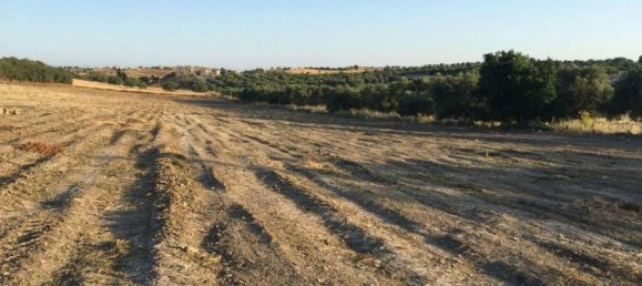 Земельный участок 31966м² в Ното, Италия № 231724 10