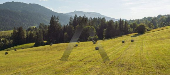 5 rooms Apartment in Going am Wilden Kaiser, Austria No. 207952 7