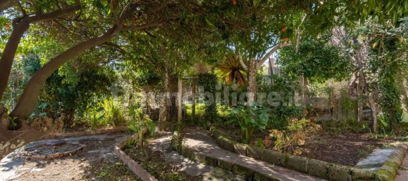 3 bedrooms Villa in Procida, Italy No. 31565 14