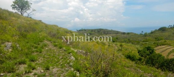 Grundstück in Nusa Penida, Indonesia 40470m², Nr. 3865 6