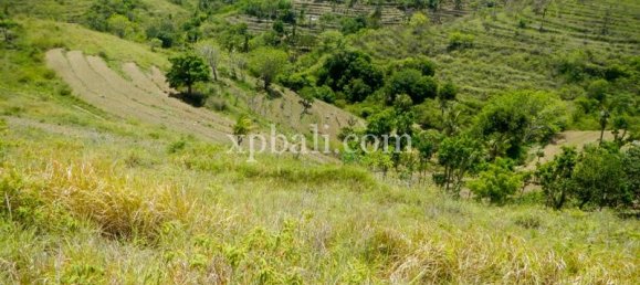 Grundstück in Nusa Penida, Indonesia 40470m², Nr. 3865 2