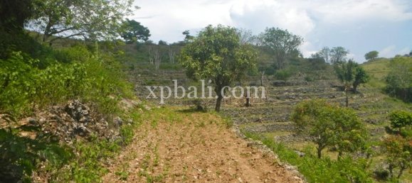 Grundstück in Nusa Penida, Indonesia 40470m², Nr. 3865 4