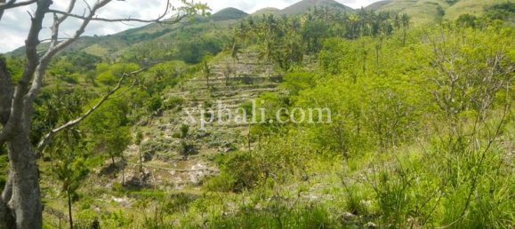 Grundstück in Nusa Penida, Indonesia 40470m², Nr. 3865 7