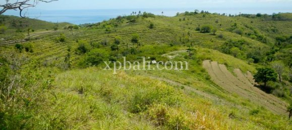 Grundstück in Nusa Penida, Indonesia 40470m², Nr. 3865 3