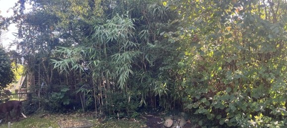 1 Schlafzimmer Haus in Emden, Germany, Nr. 28859 14