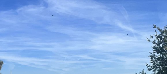 1 Schlafzimmer Haus in Emden, Germany, Nr. 28859 4