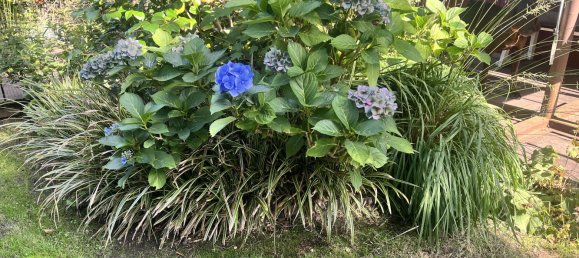 1 Schlafzimmer Haus in Emden, Germany, Nr. 28859 15