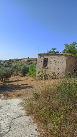 Grundstück in Gerace, Italy 13000m², Nr. 267250