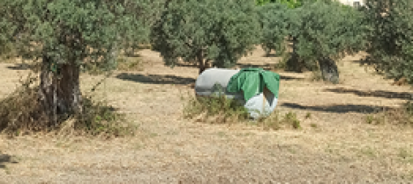 Grundstück in Gerace, Italy 13000m², Nr. 267250 4