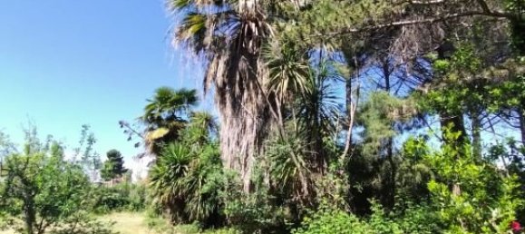 6 Schlafzimmer Villa in San Giovanni Teatino, Italy, Nr. 266185 28