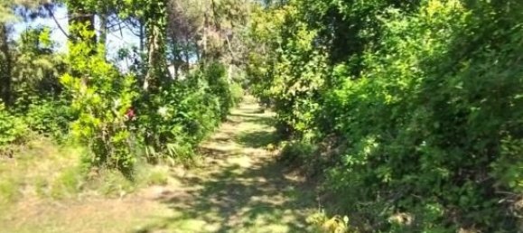 6 Schlafzimmer Villa in San Giovanni Teatino, Italy, Nr. 266185 29