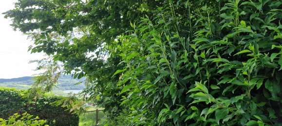 Grundstück in Stubenberg, Austria, Nr. 130080 4