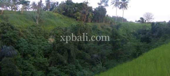 Terreno en Ubud, Indonesia 38000 m² No. 3853 7