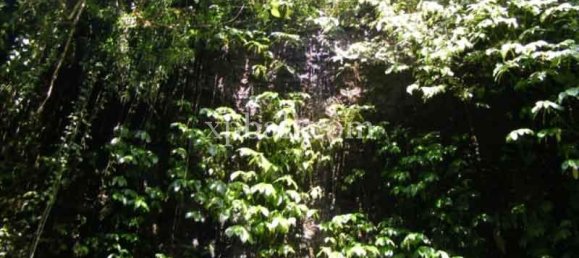 Terreno en Ubud, Indonesia 38000 m² No. 3853 14