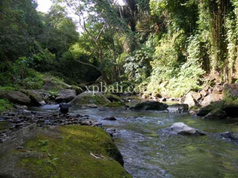 Terreno en Ubud, Indonesia 38000 m² No. 3853