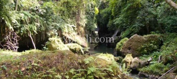 Terreno en Ubud, Indonesia 38000 m² No. 3853 10