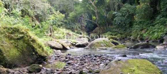 Terreno en Ubud, Indonesia 38000 m² No. 3853 8