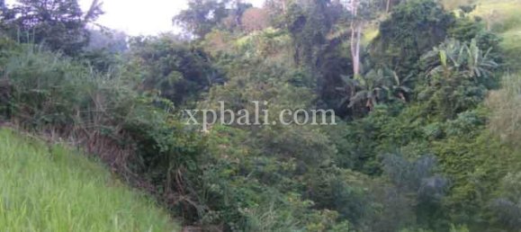 Terreno en Ubud, Indonesia 38000 m² No. 3853 6