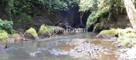 Terreno en Ubud, Indonesia 38000 m² No. 3853 9