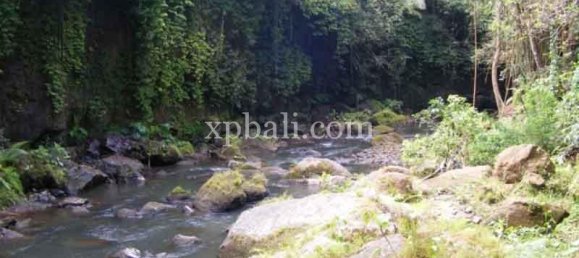 Terreno en Ubud, Indonesia 38000 m² No. 3853 11