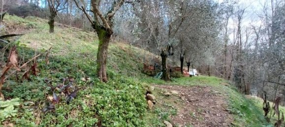 Дом с 4 комнатами в Серавецца, Италия № 230691 3