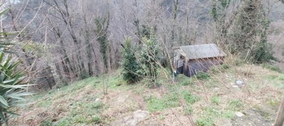 Дом с 4 комнатами в Серавецца, Италия № 230691 5