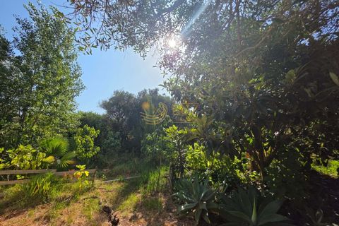  Land in Lagos, Portugal No. 250367