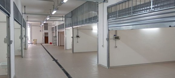 Garage in Palermo, Italy 18m², Nr. 331320 14