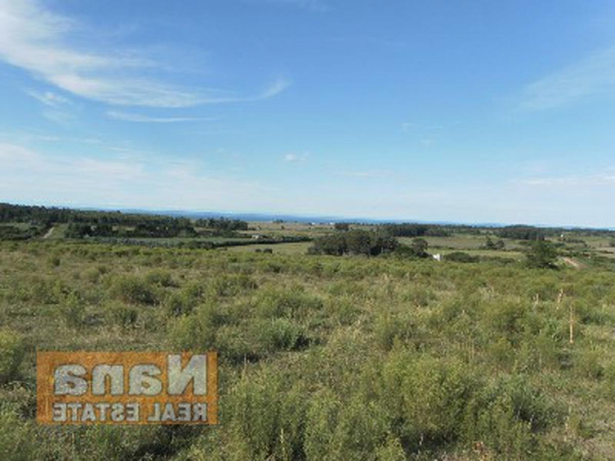 Bauernhof in Maldonado, Uruguay, Nr. 15609