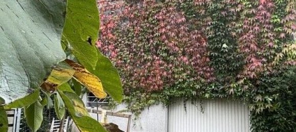 Casa de 3 dormitorios en Rosenau, France No. 225454 36