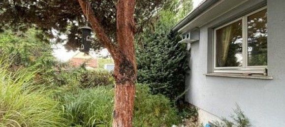 Casa de 3 dormitorios en Rosenau, France No. 225454 33