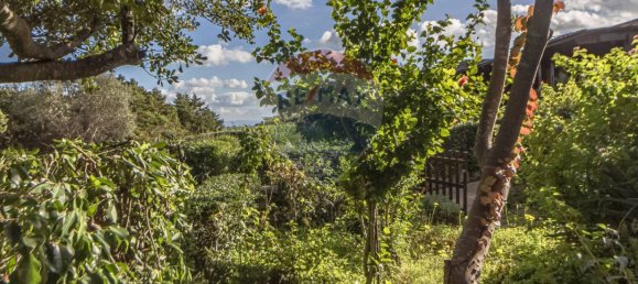 Квартира с 1 спальней в Стинтино, Италия № 146801 107