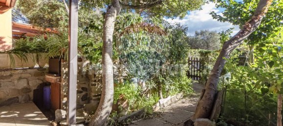 Квартира с 1 спальней в Стинтино, Италия № 146801 104