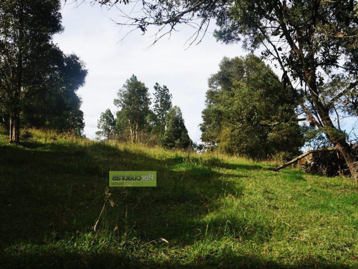  Land in Antioquia, Colombia No. 431