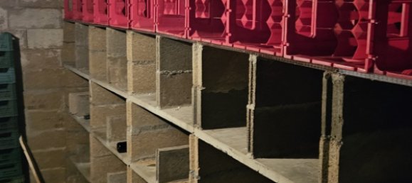 4 غرف نوم فيلا في Montlouis-sur-Loire, France رقم 274873 15