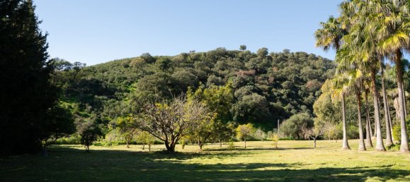 4 bedrooms House in Casares, Spain No. 139003 30