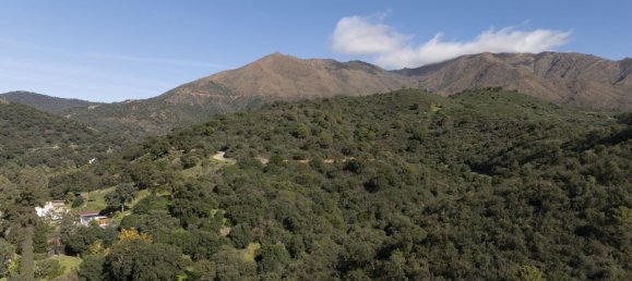 4 bedrooms House in Casares, Spain No. 139003 33