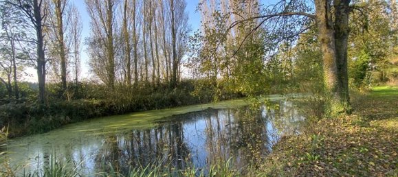 Casa T4 em Saint-Maurice-sur-Fessard, France N.º 216164 18