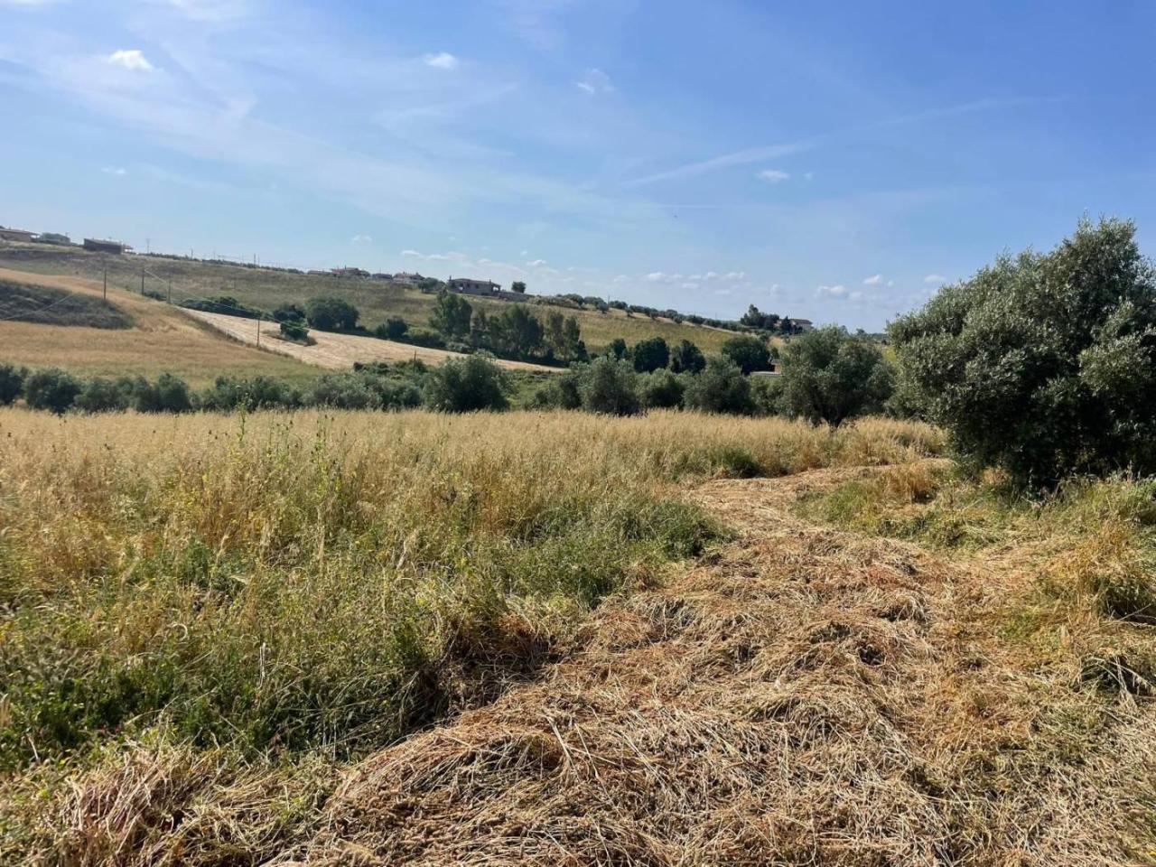 30000m² Land in Cerveteri, Italy No. 150530