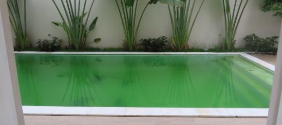 4 bedrooms Apartment in Tay Ho, Vietnam No. 5353 13